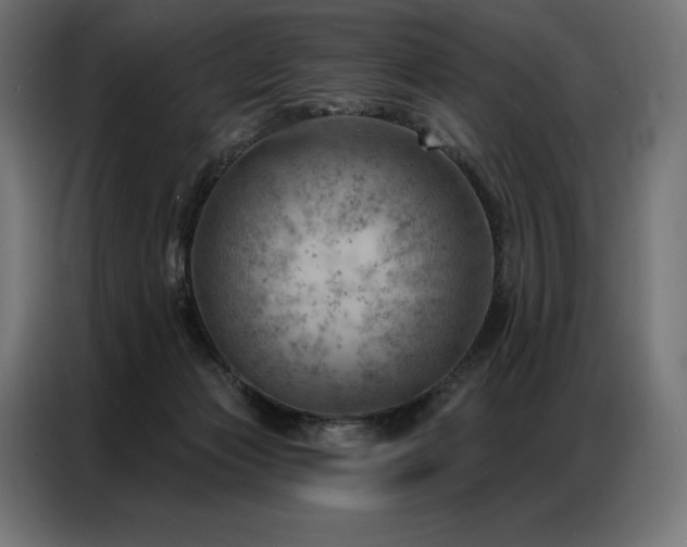 X0000086980173200704161454
