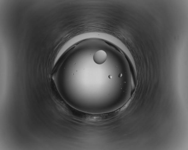 X0000086980174200704161454