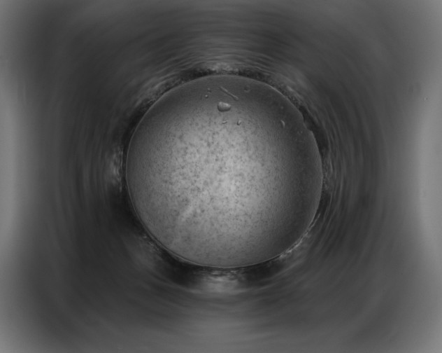X0000086980175200704161454