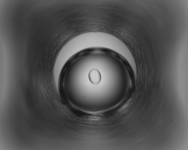 X0000086980176200704161454