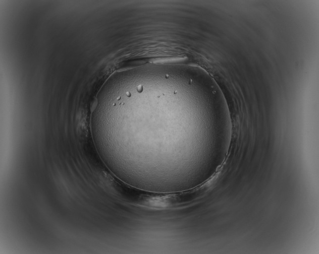 X0000086980178200704161454