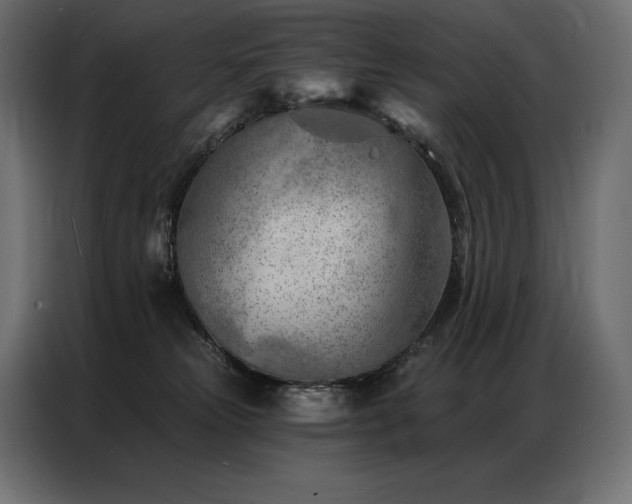 X0000086980181200704161455