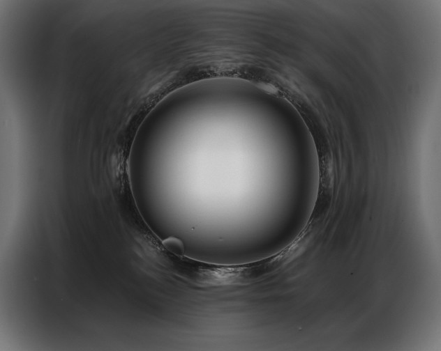X0000086980184200704161455