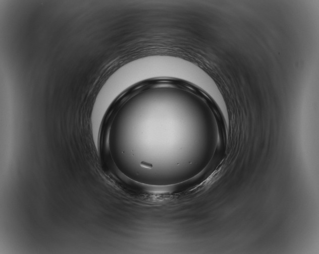 X0000086980188200704161455