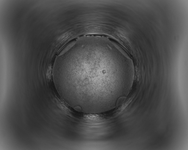 X0000086980189200704161455