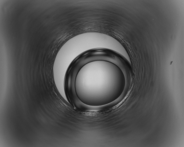X0000086980192200704161455