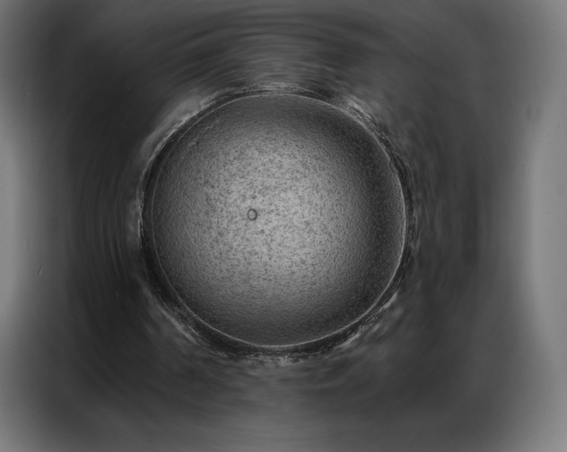 X0000086980194200704161454
