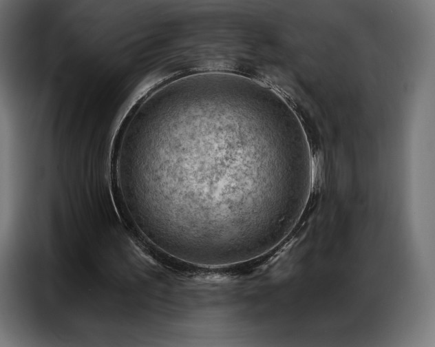 X0000086980195200704161454