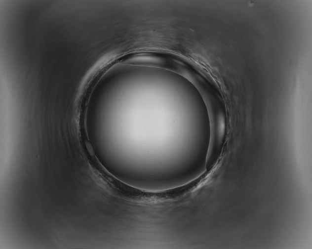 X0000086980197200704161454