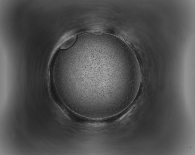 X0000086980198200704161454