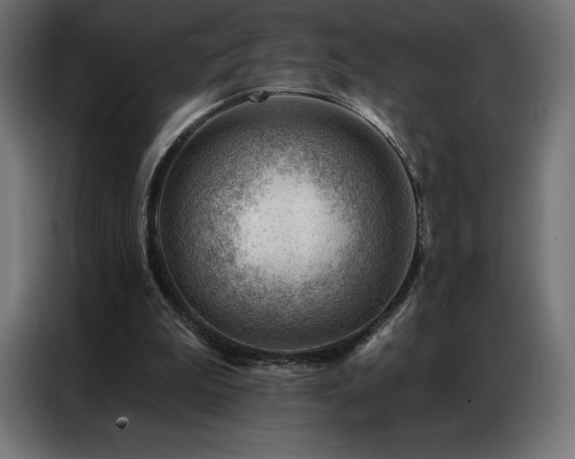 X0000086980199200704161454