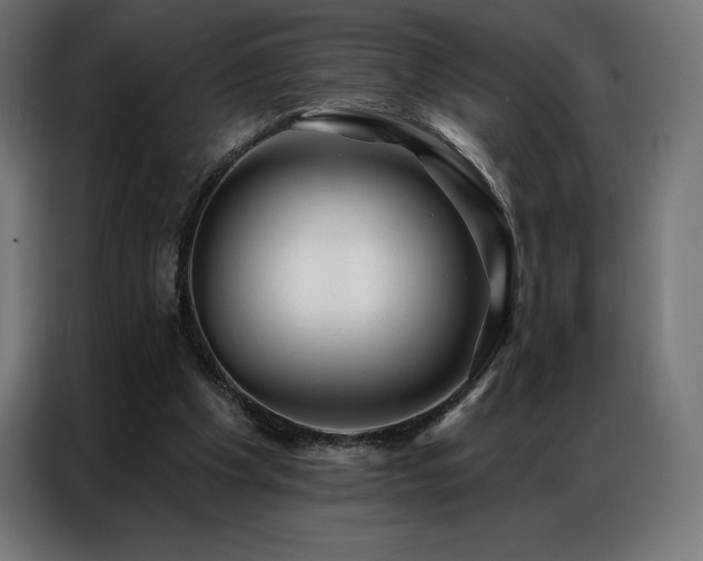 X0000086980201200704161454