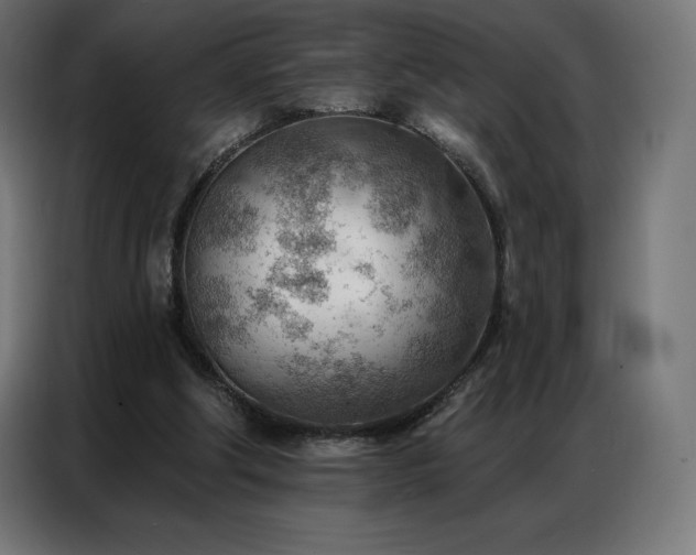 X0000086980202200704161454