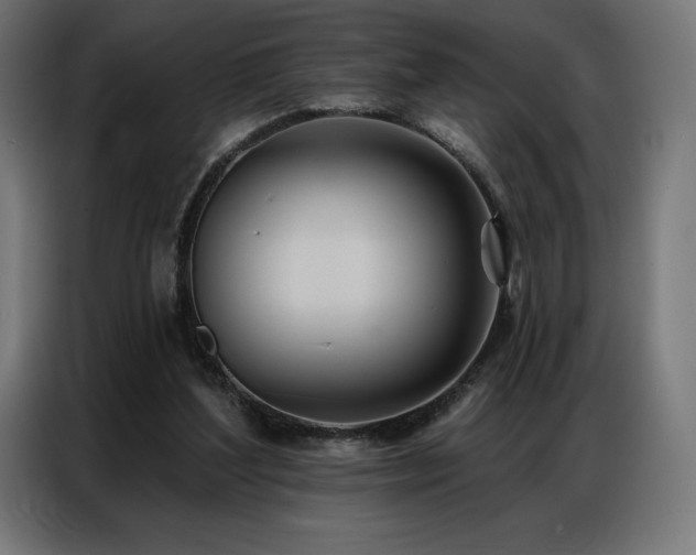 X0000086980204200704161454