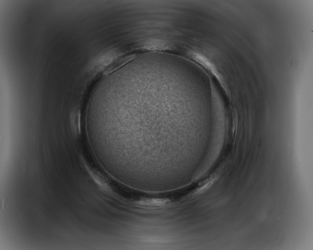 X0000086980205200704161454