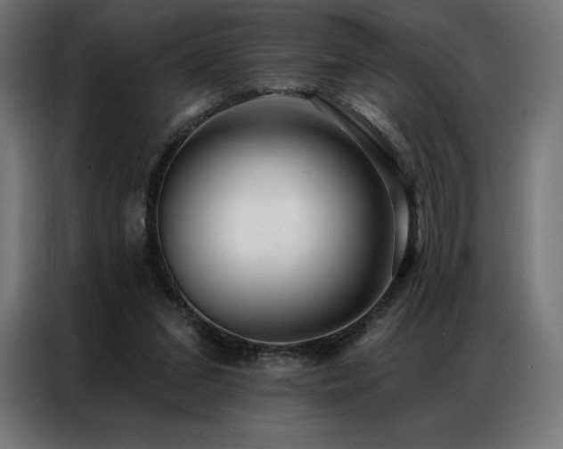 X0000086980207200704161454