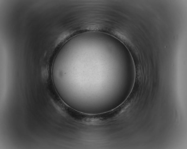 X0000086980208200704161454