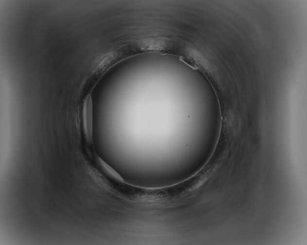 X0000086980209200704161454