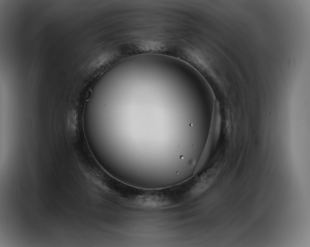 X0000086980211200704161454