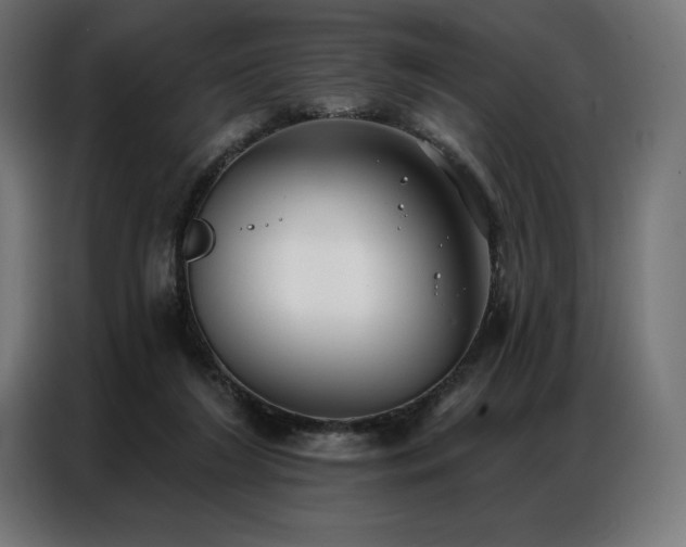 X0000086980212200704161454