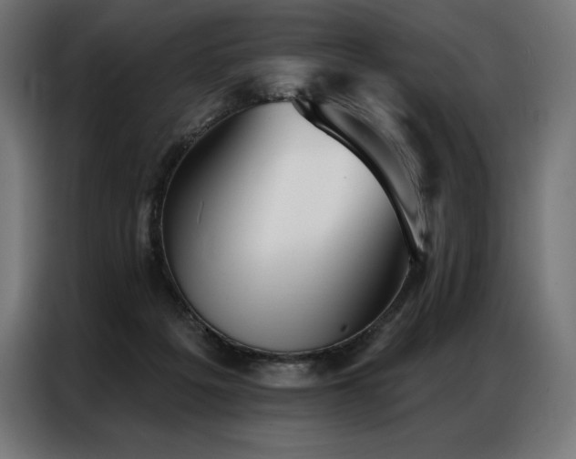 X0000086980217200704161454