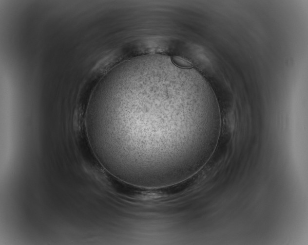 X0000086980218200704161454