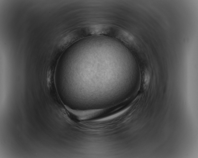 X0000086980219200704161454