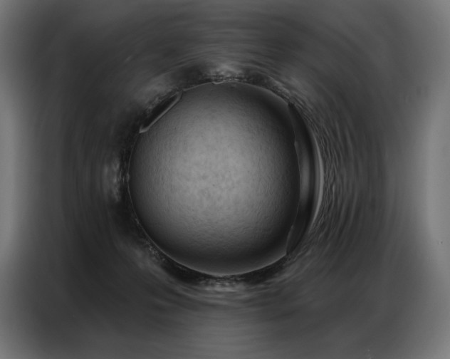 X0000086980223200704161454