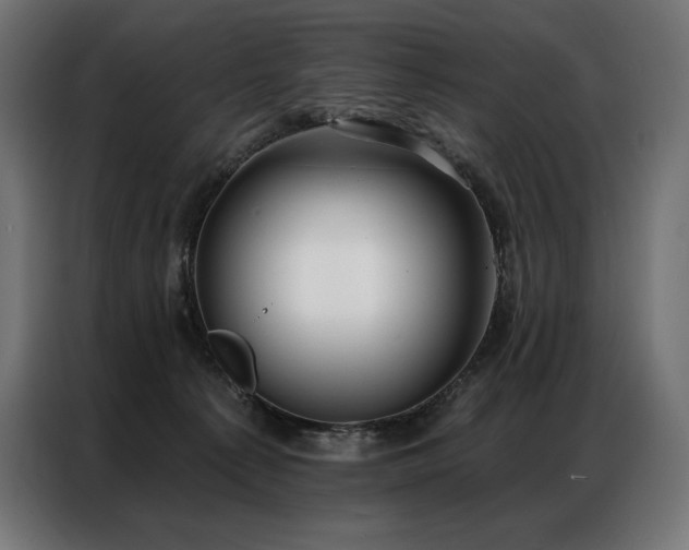 X0000086980225200704161454