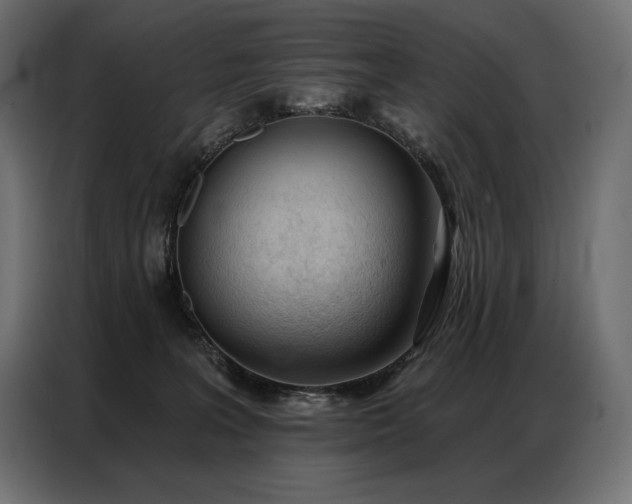X0000086980227200704161454