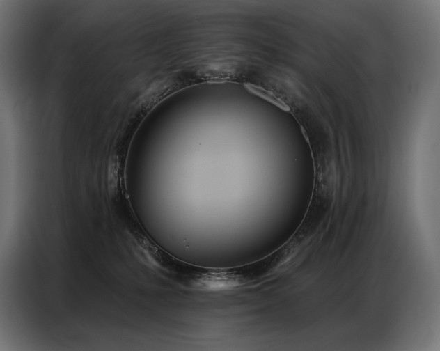 X0000086980231200704161454