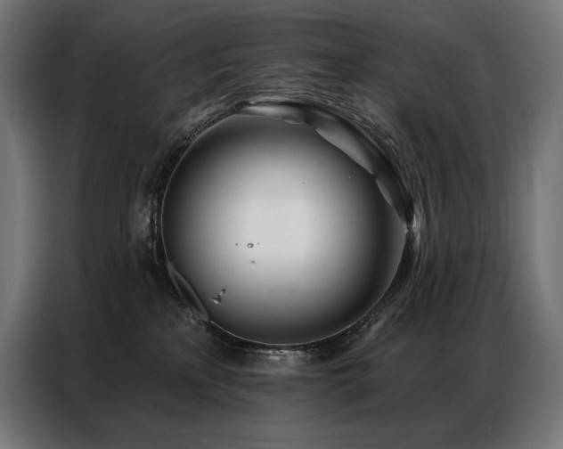 X0000086980233200704161454