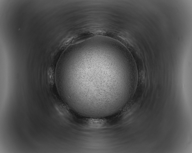 X0000086980234200704161454