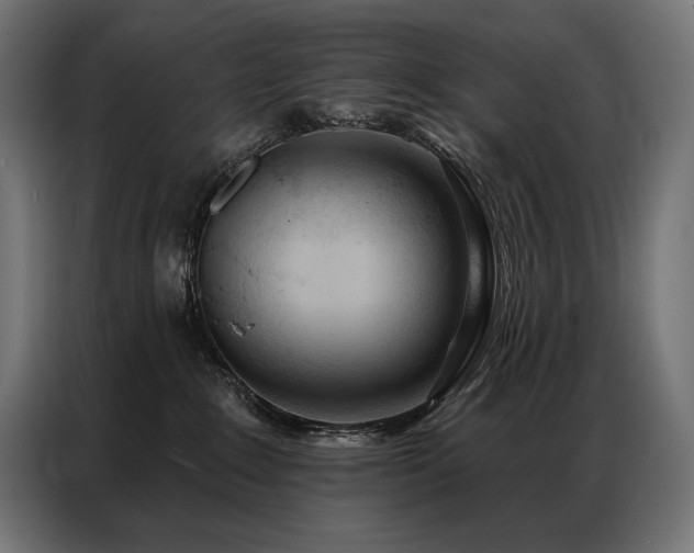 X0000086980235200704161454