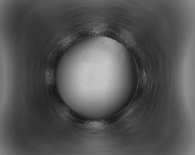 X0000086980236200704161454