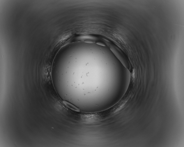 X0000086980237200704161454