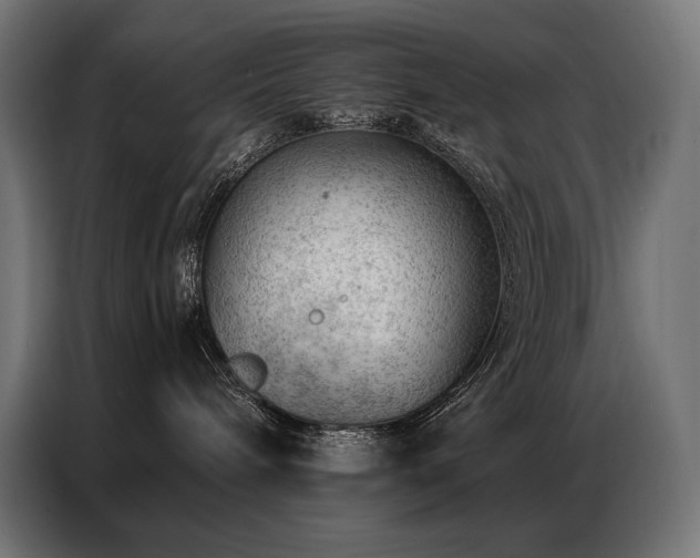 X0000086980240200704161454