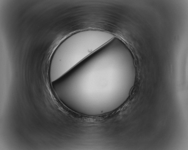 X0000086980241200704161453