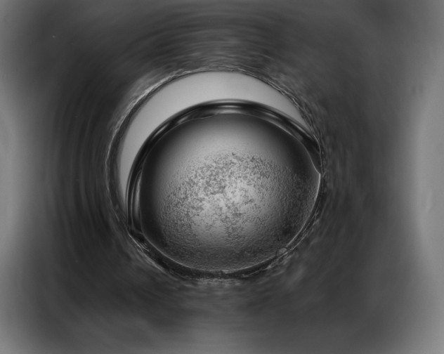 X0000086980242200704161453
