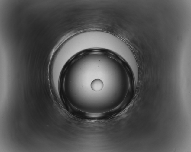 X0000086980244200704161453