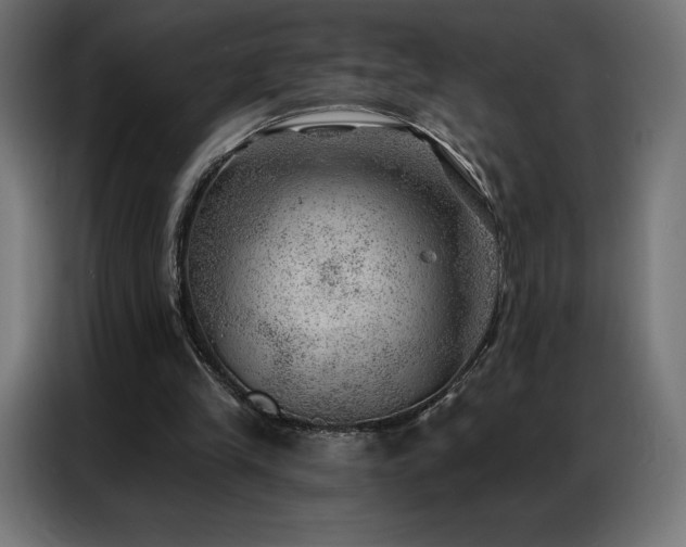 X0000086980245200704161453