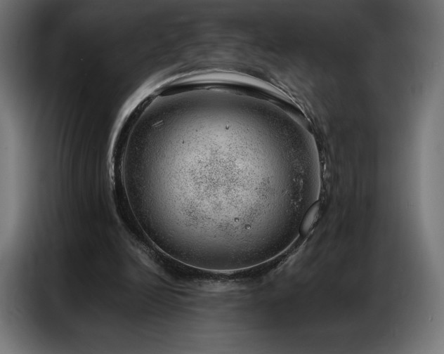 X0000086980246200704161453