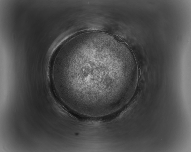 X0000086980247200704161453