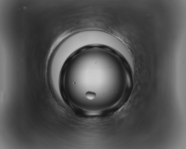 X0000086980248200704161453