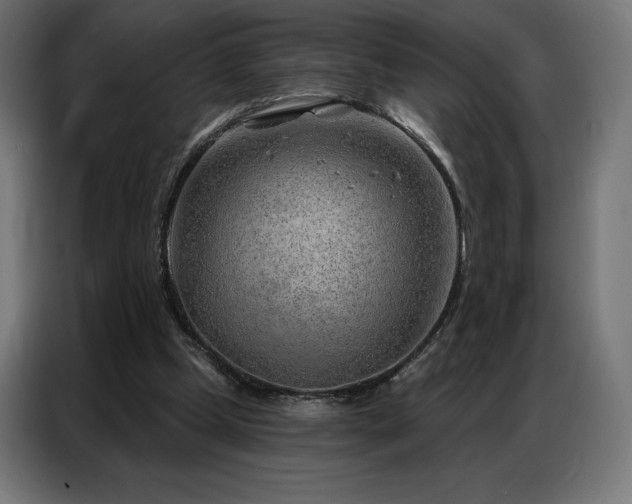 X0000086980249200704161453