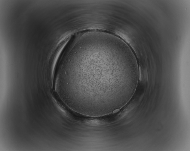 X0000086980253200704161453