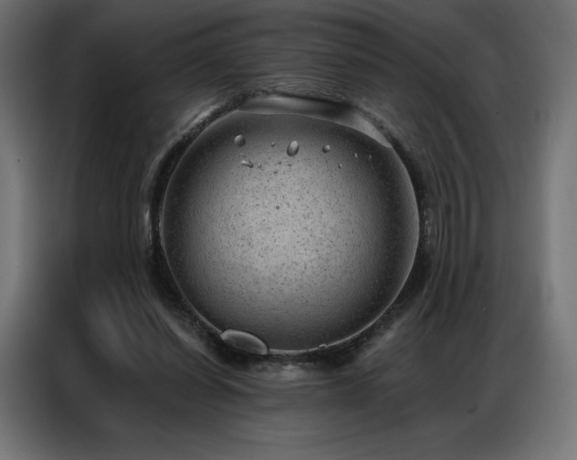 X0000086980254200704161453