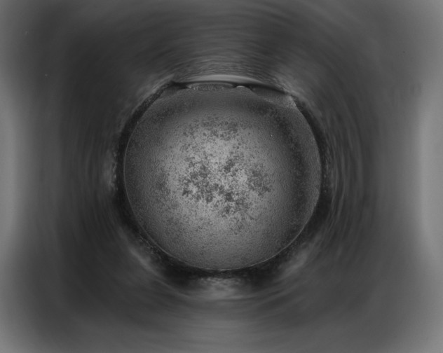 X0000086980255200704161453