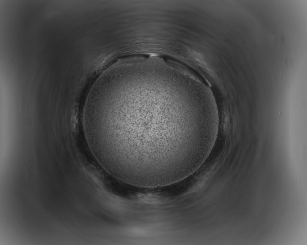 X0000086980259200704161453