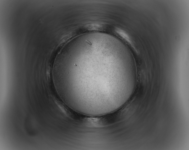 X0000086980265200704161453